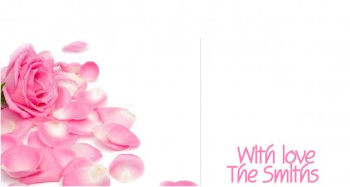 Rose petals