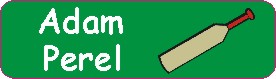 Cricket bat on green