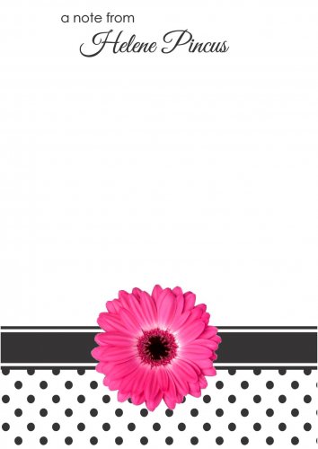 Gerbera pink