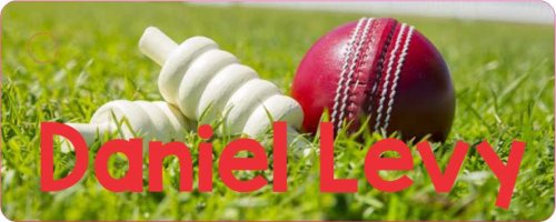 Cricket ball & wickets on grass