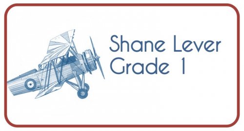 Vintage plane
