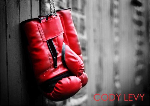 Boxing gloves