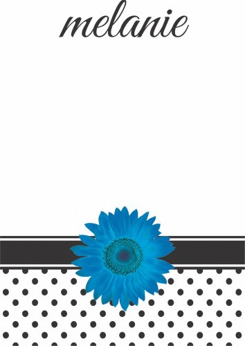 Gerbera blue
