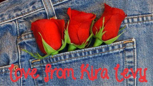 Denim red roses