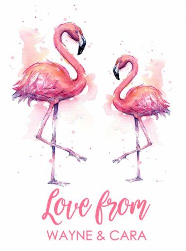 Flamingoes