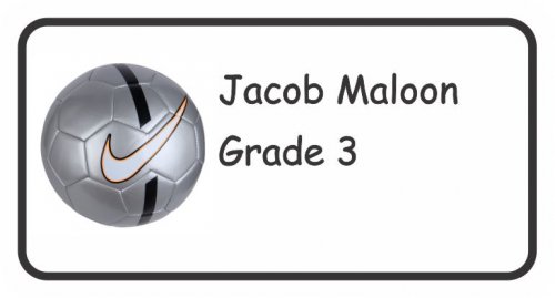 Ball tick
