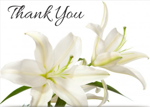 White lilies