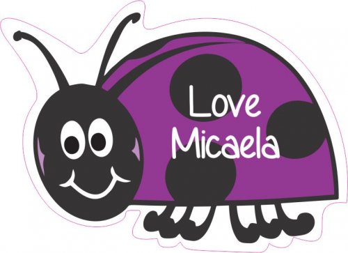Ladybug purple