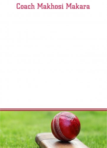 Cricket bat on grass