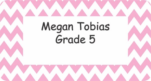 Border chevron pink