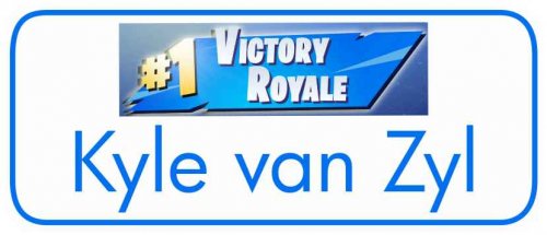 Fortnite win