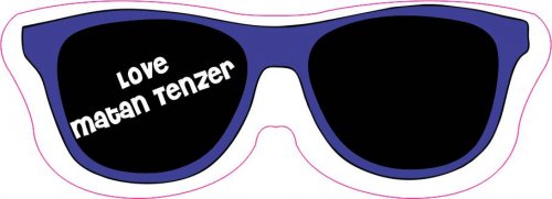Sunglasses shapie
