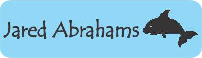 Dolphin on light blue