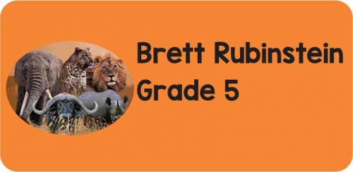 Big 5 on orange