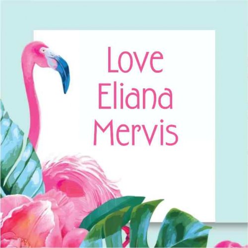Flamingo tropical