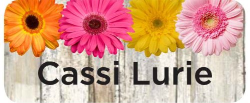 Rustic gerberas