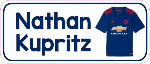 Team man u away kit