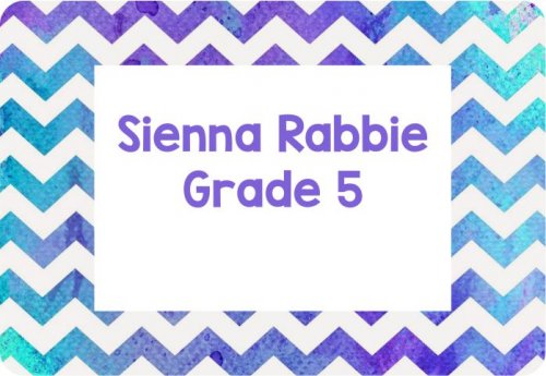 Chevron Purple aqua