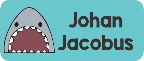 Shark on aqua