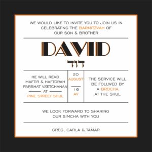 Barmi David