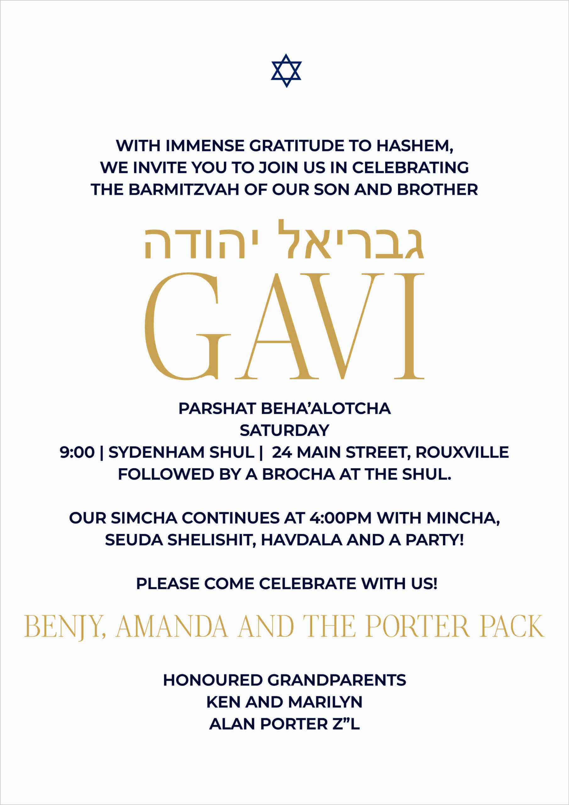 Barmi Gavi