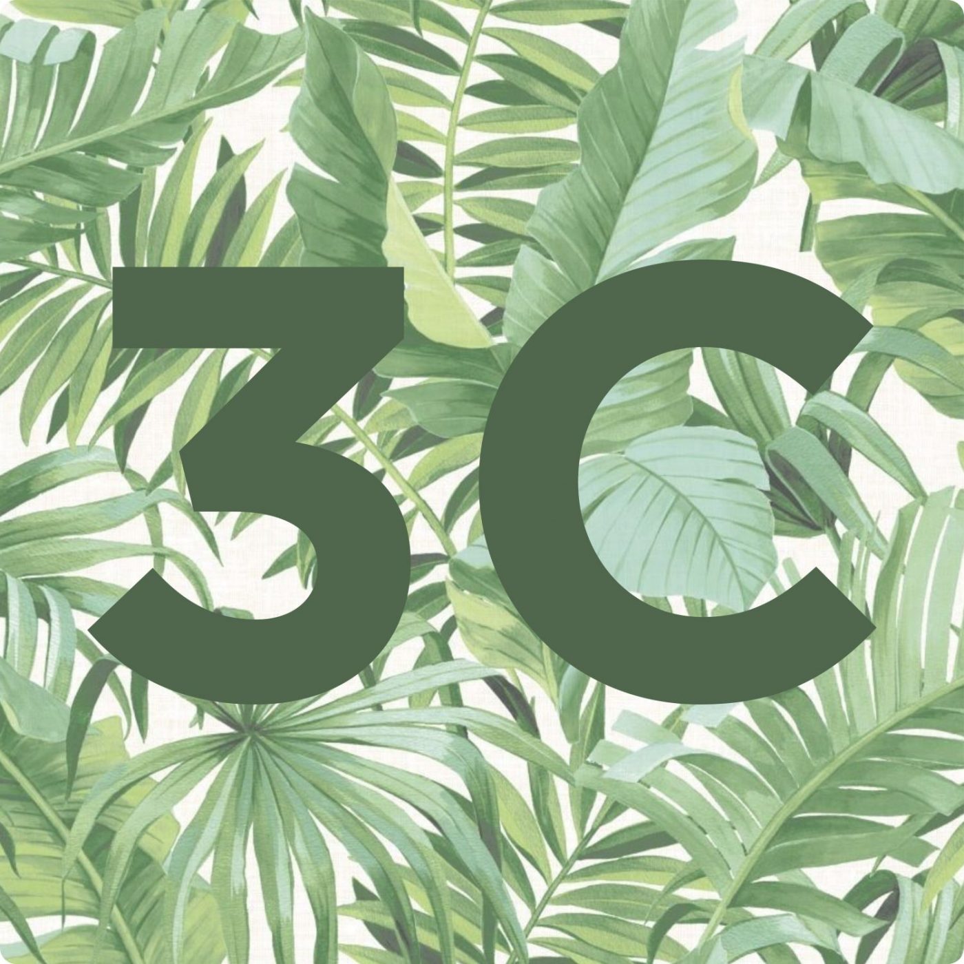 Monstera Leaves