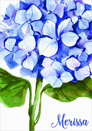 Blue Hydrangeas