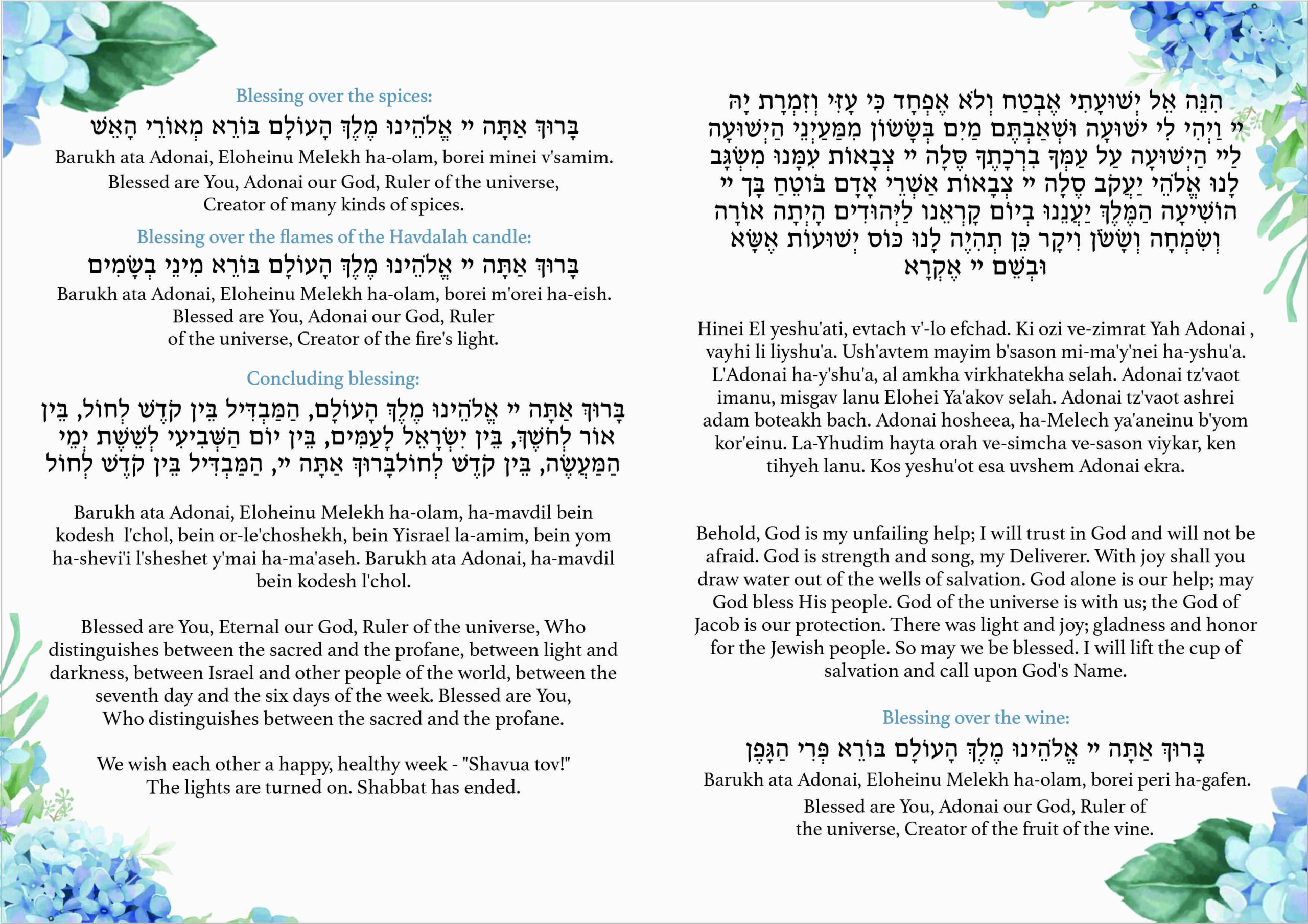 Blue hydrangeas havdallah