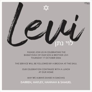 Barmi Levi