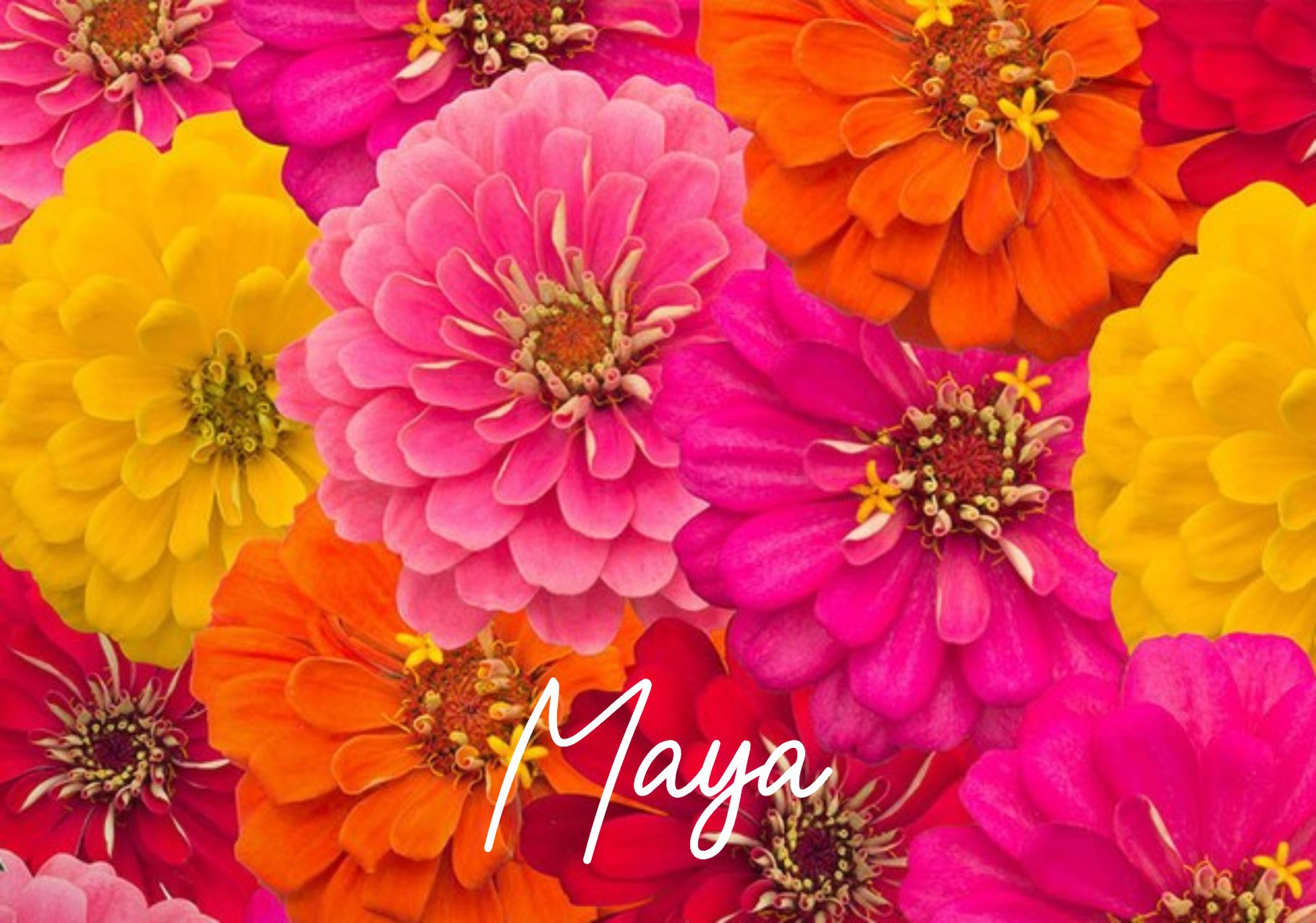 Spring bright