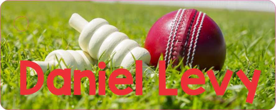 Cricket ball & wickets on grass