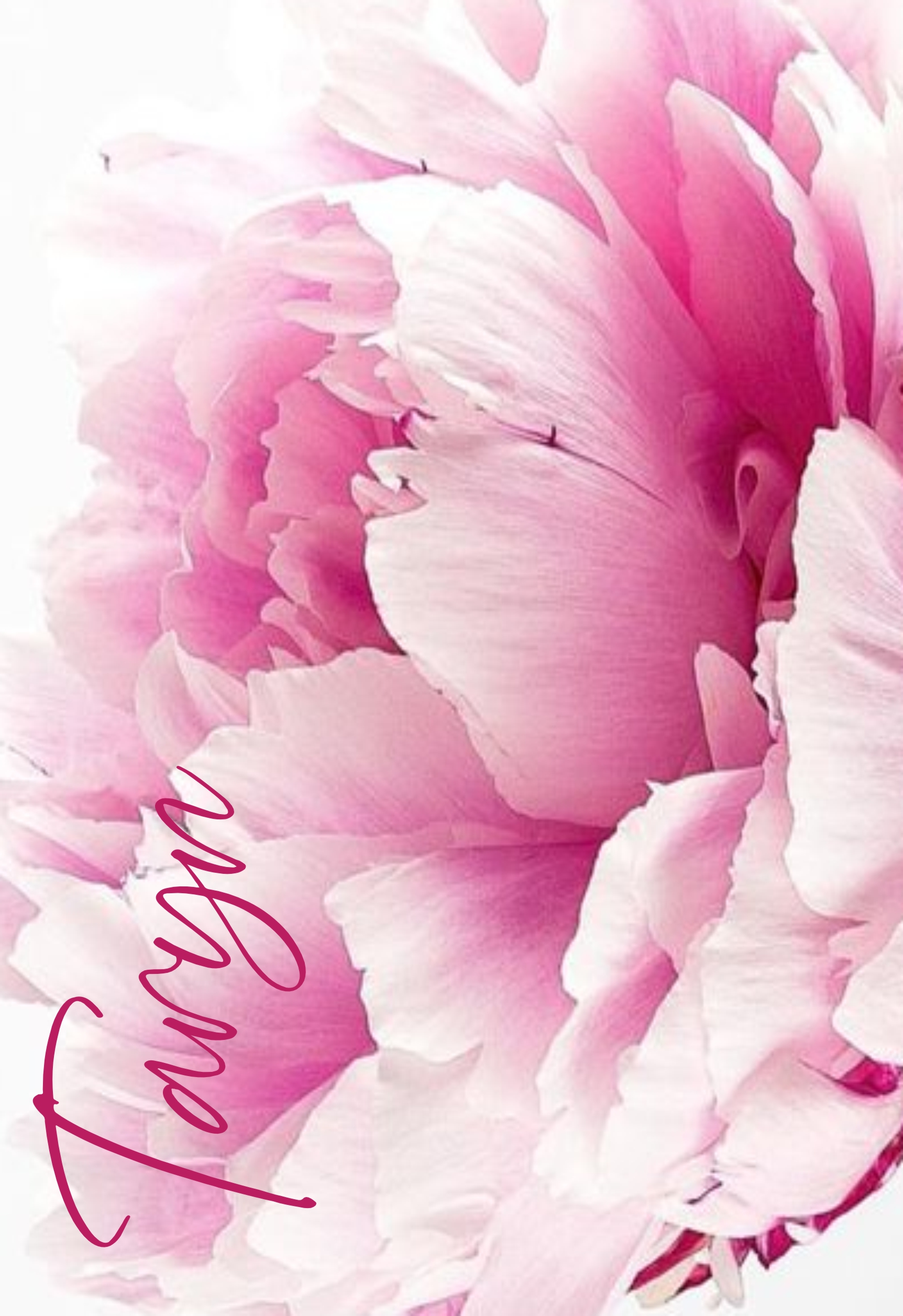 Peony