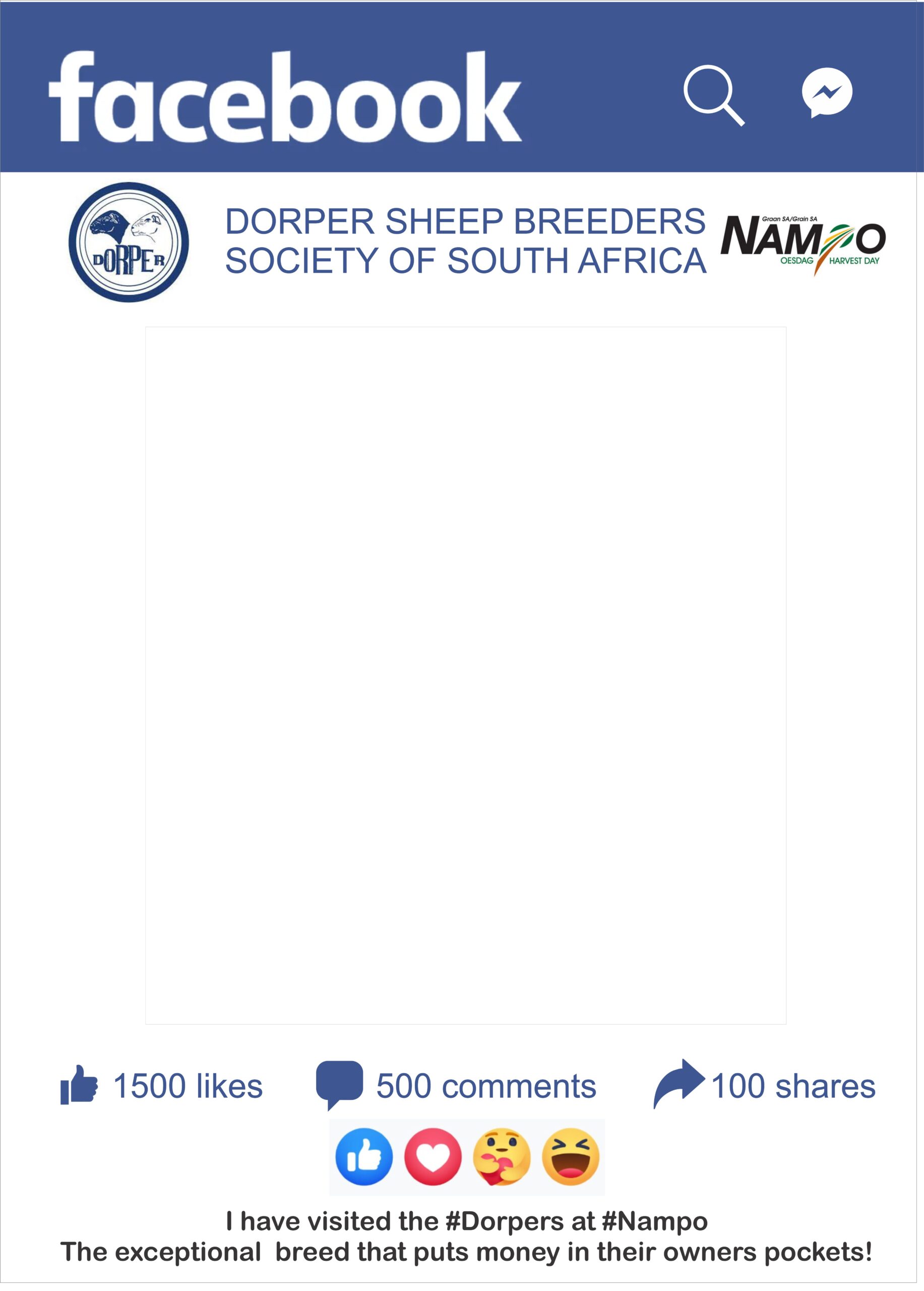 Dorper