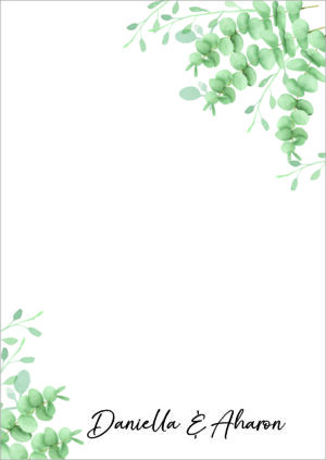 Eucalyptus Leaves