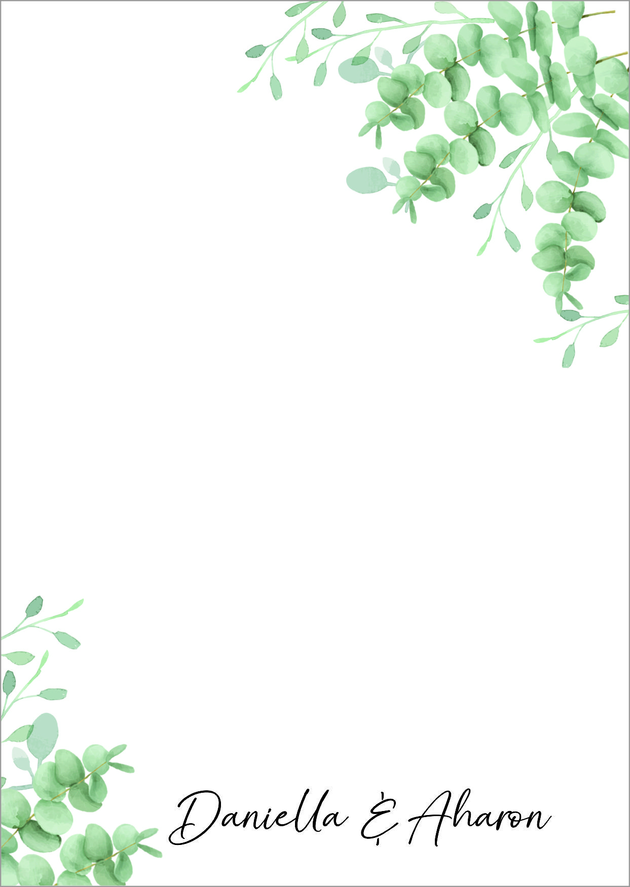 Eucalyptus Leaves