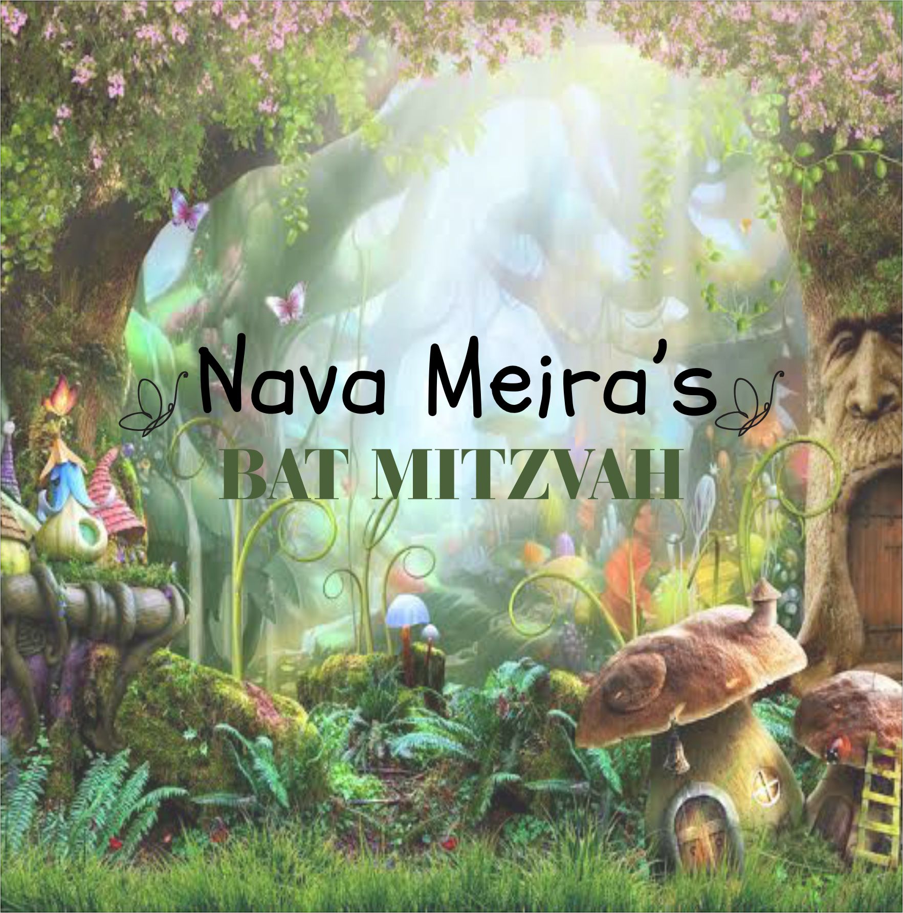 Bati Nava
