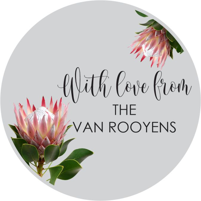 Pretty Proteas