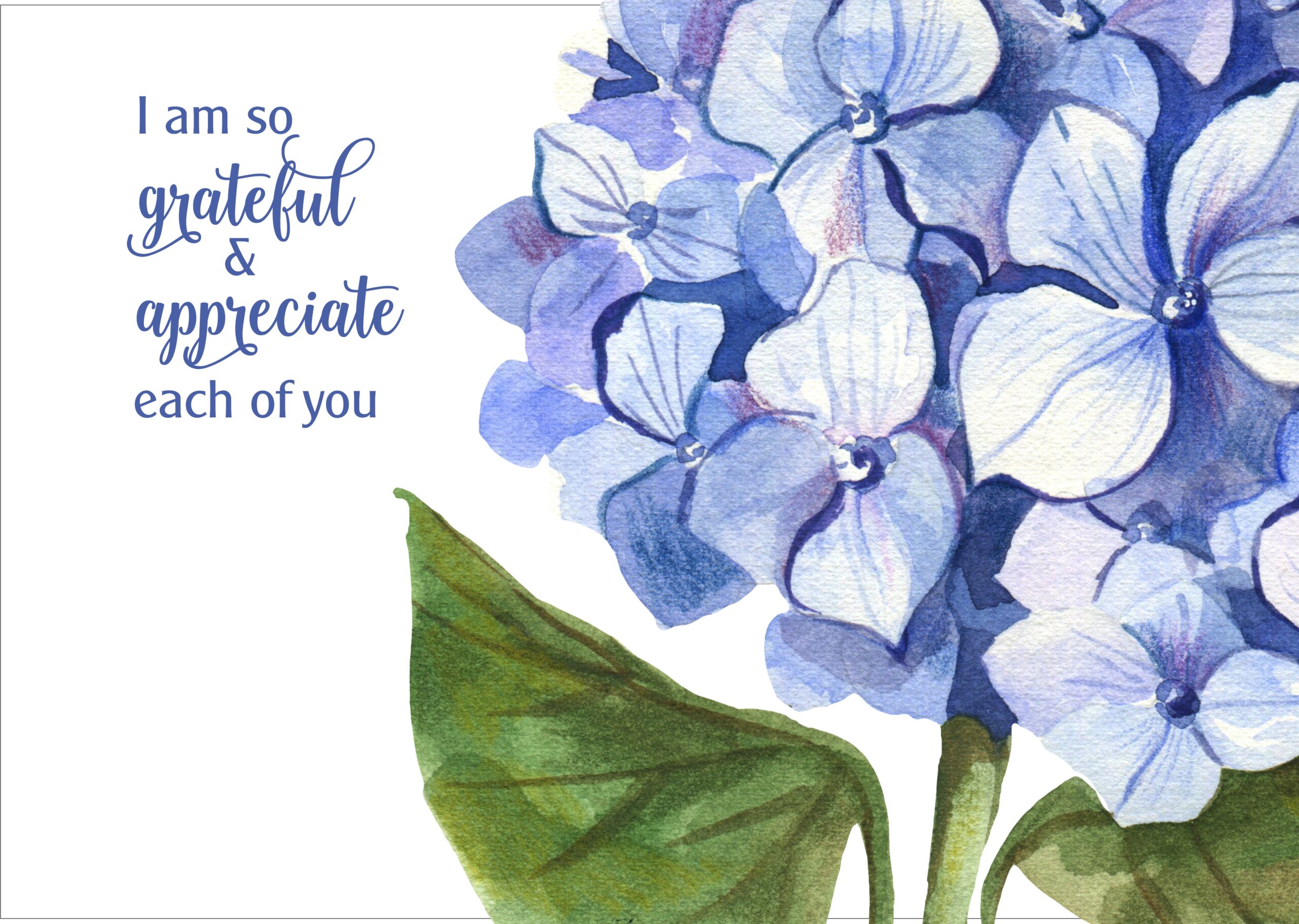 Hydrangea