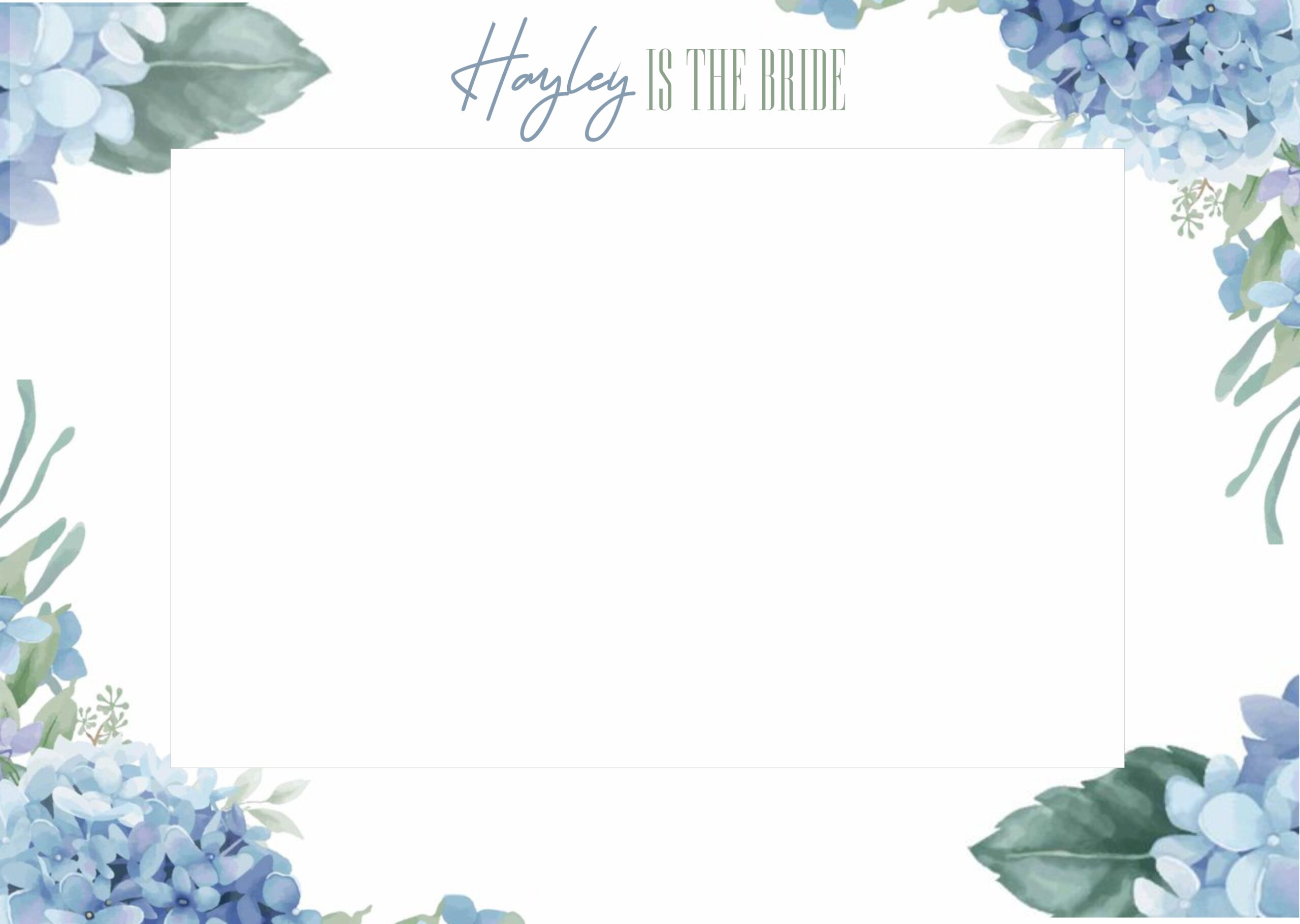Hydrangea