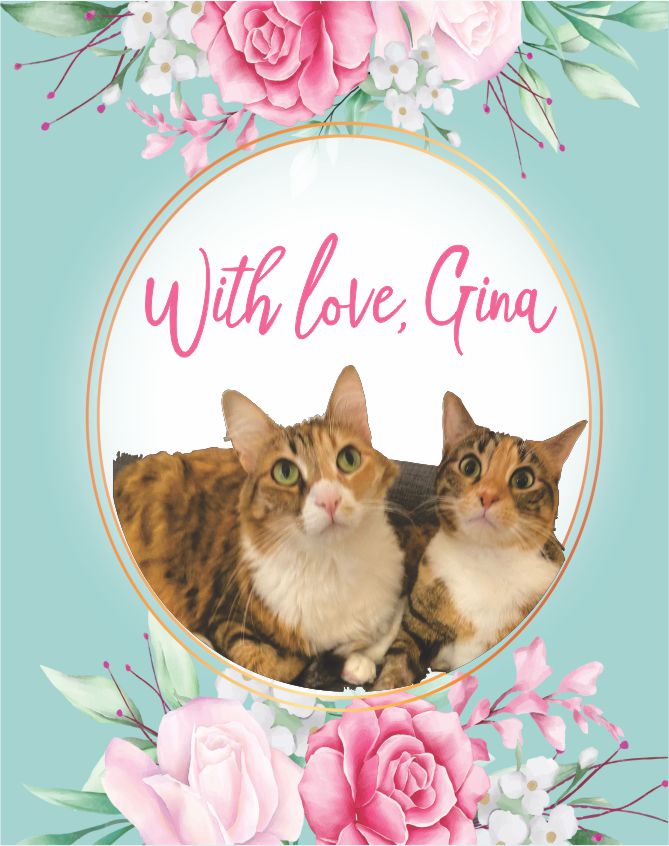 Cats