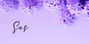 Lilac flowers