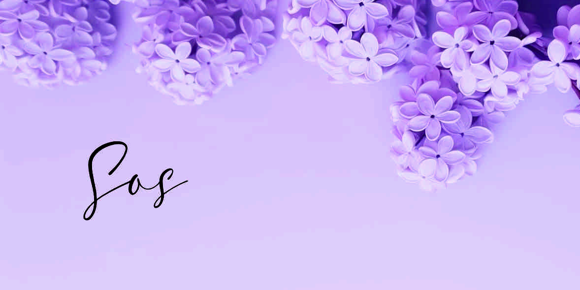 Lilac flowers