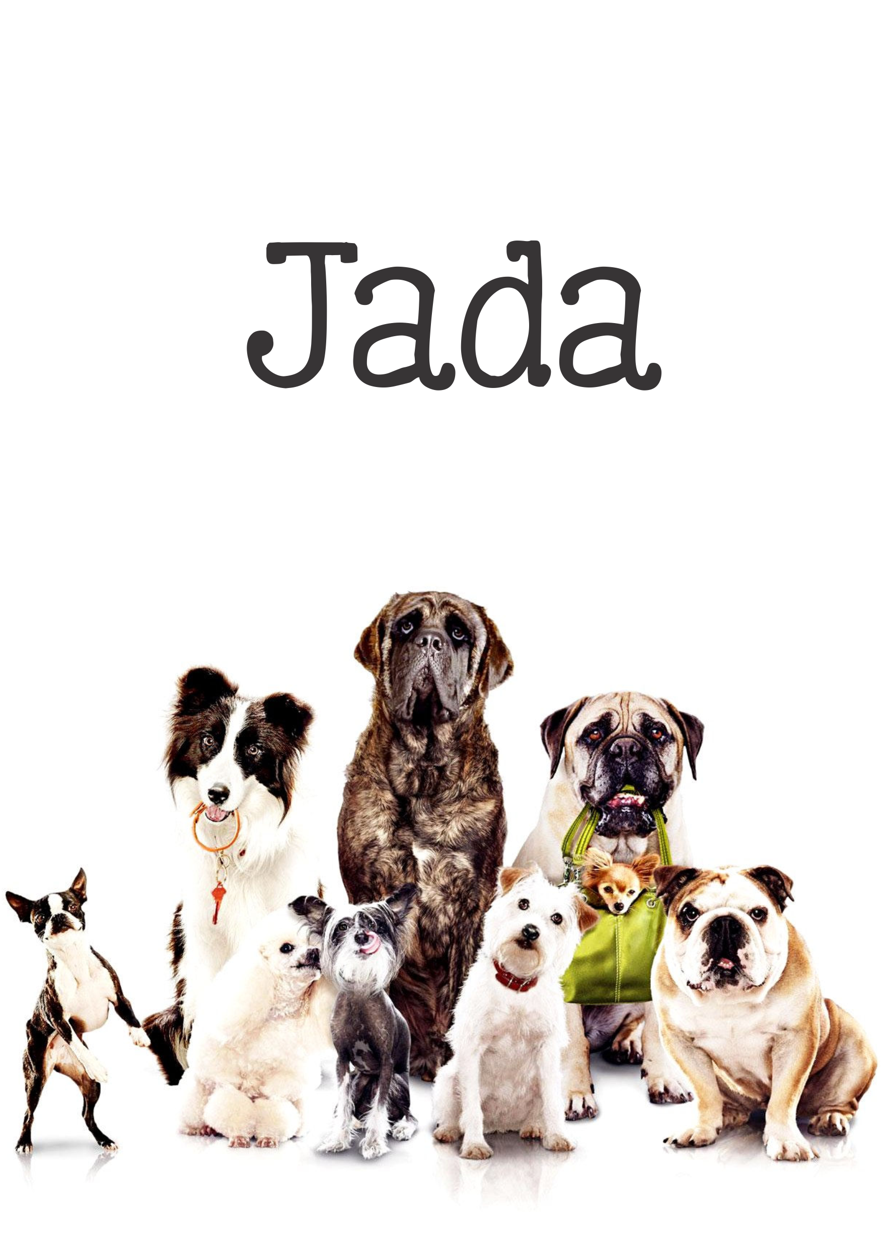 Dogs!