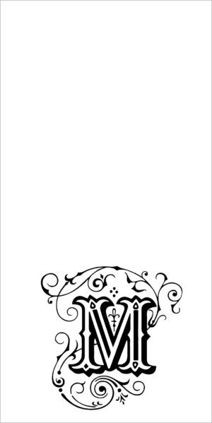 Ornamented Outline
