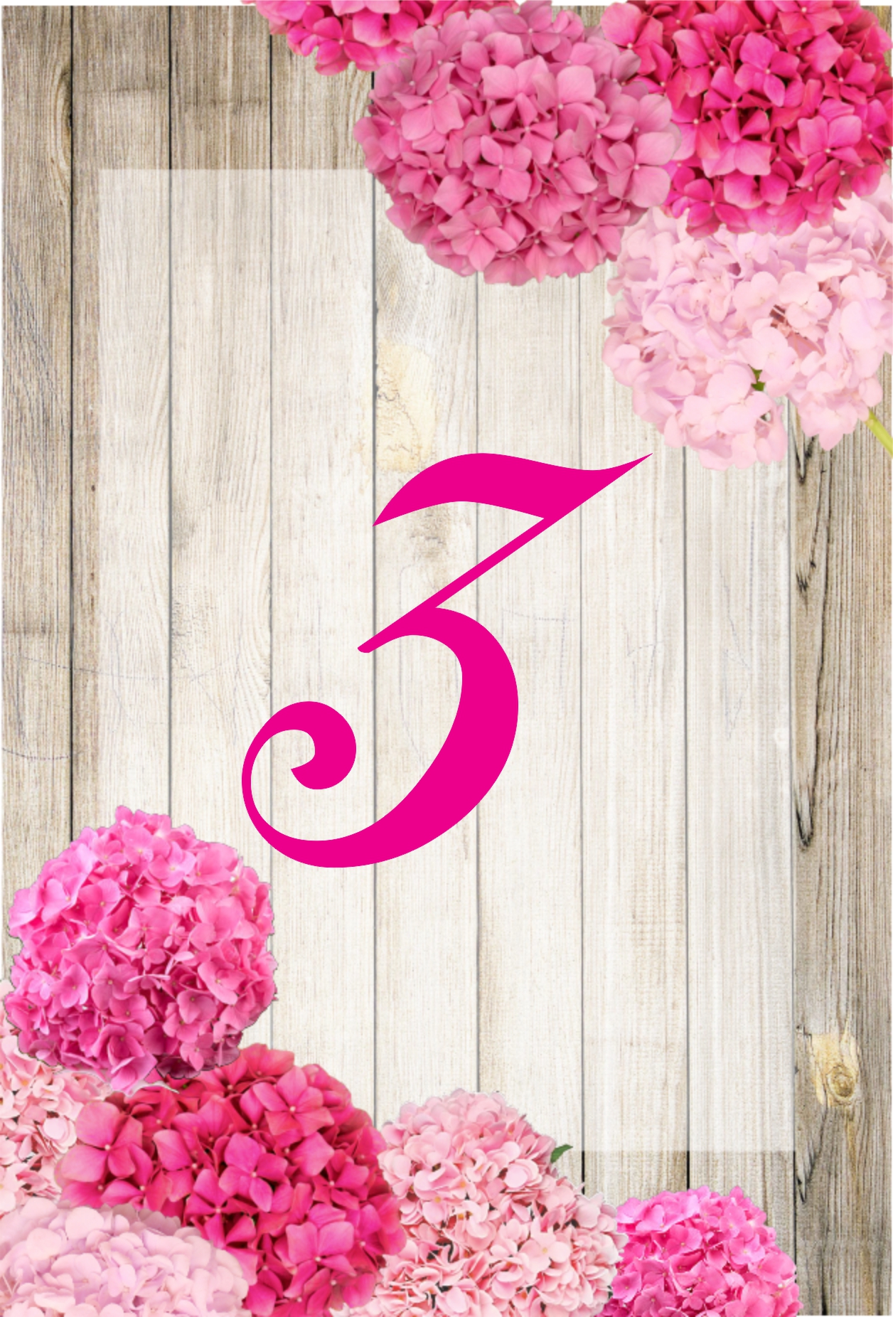 Pink hydrangeas