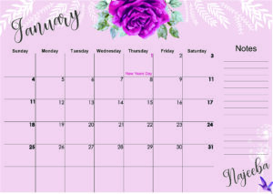 Pink rose