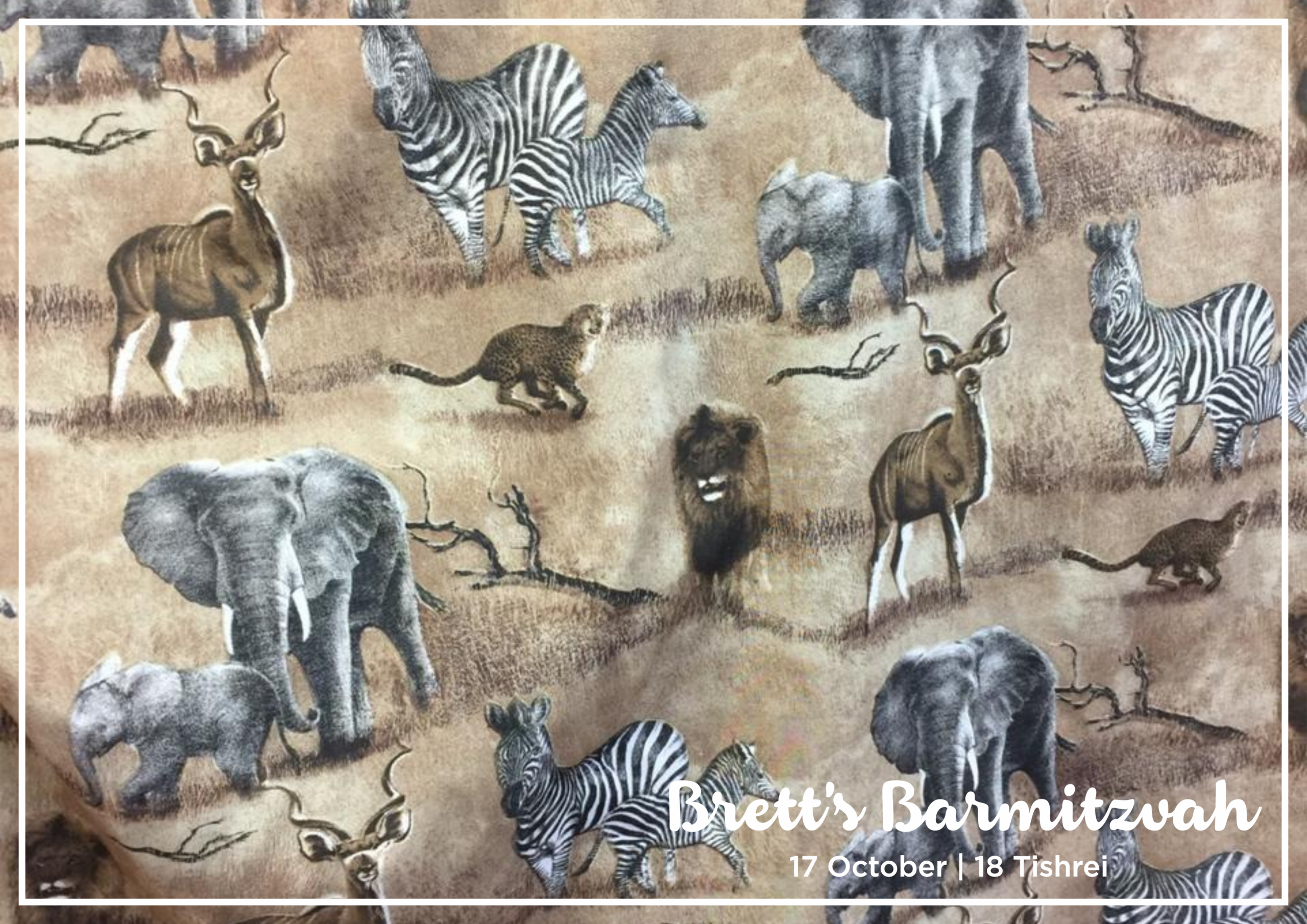 Animals