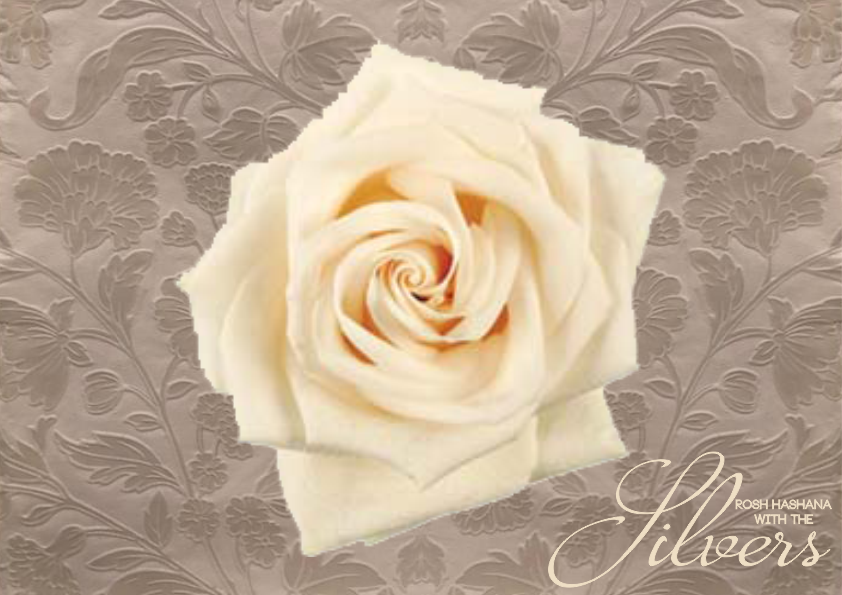 Cream Rose