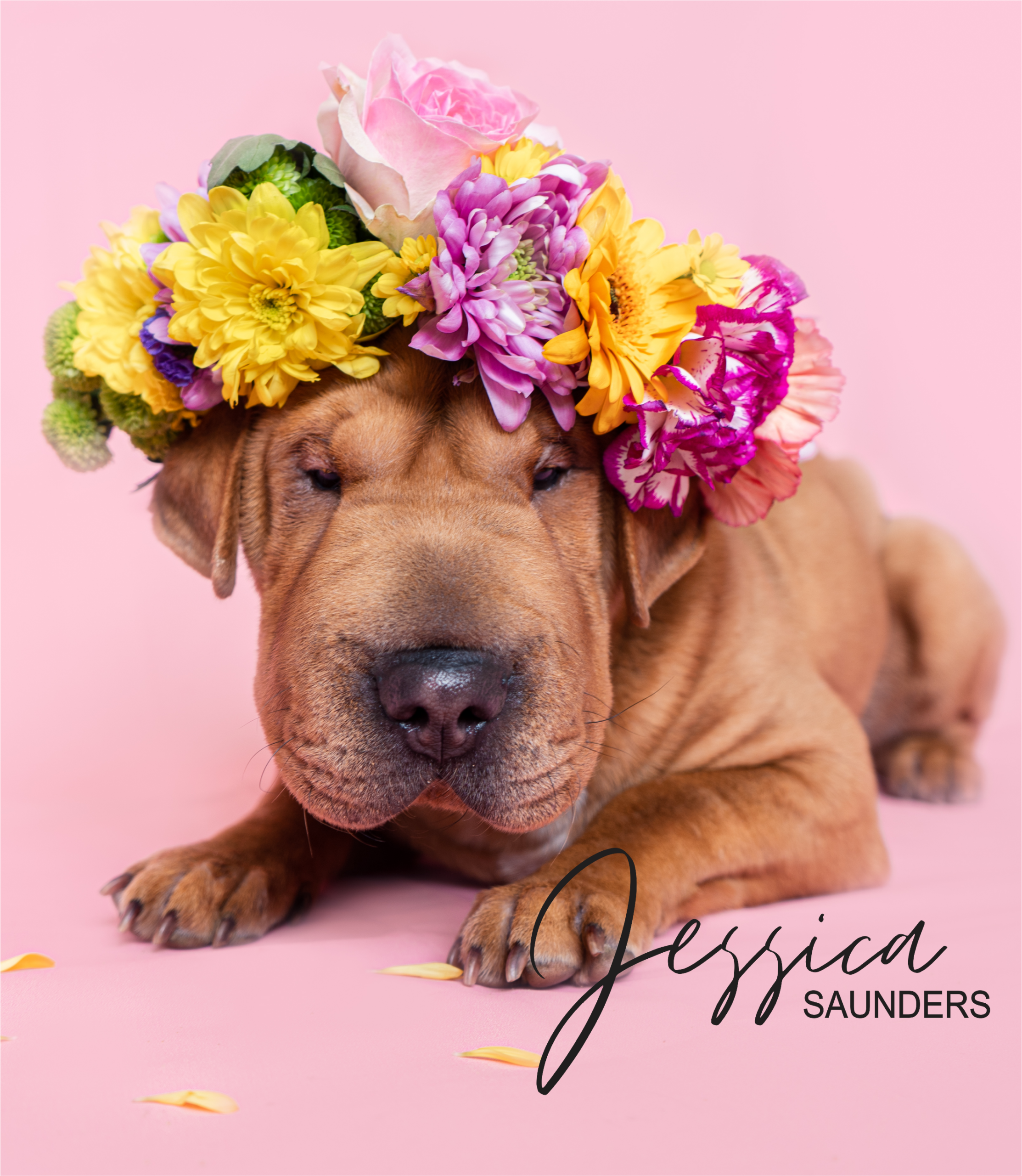 Puppy goes floral