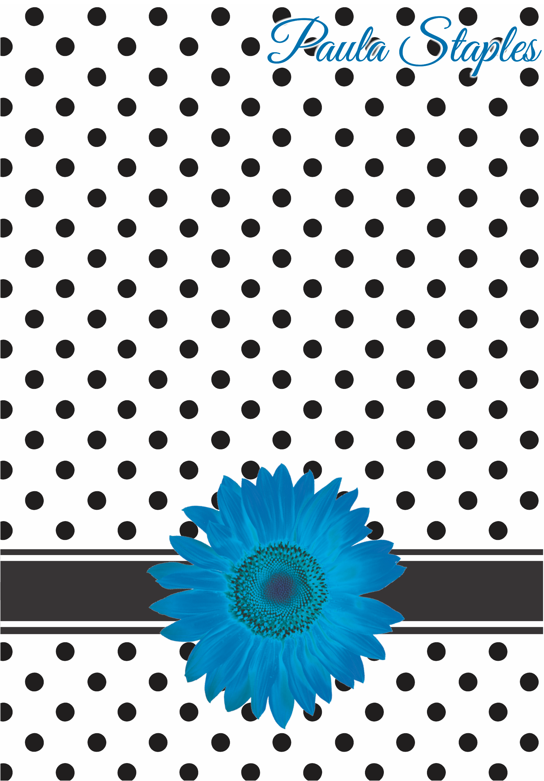 Gerbera blue